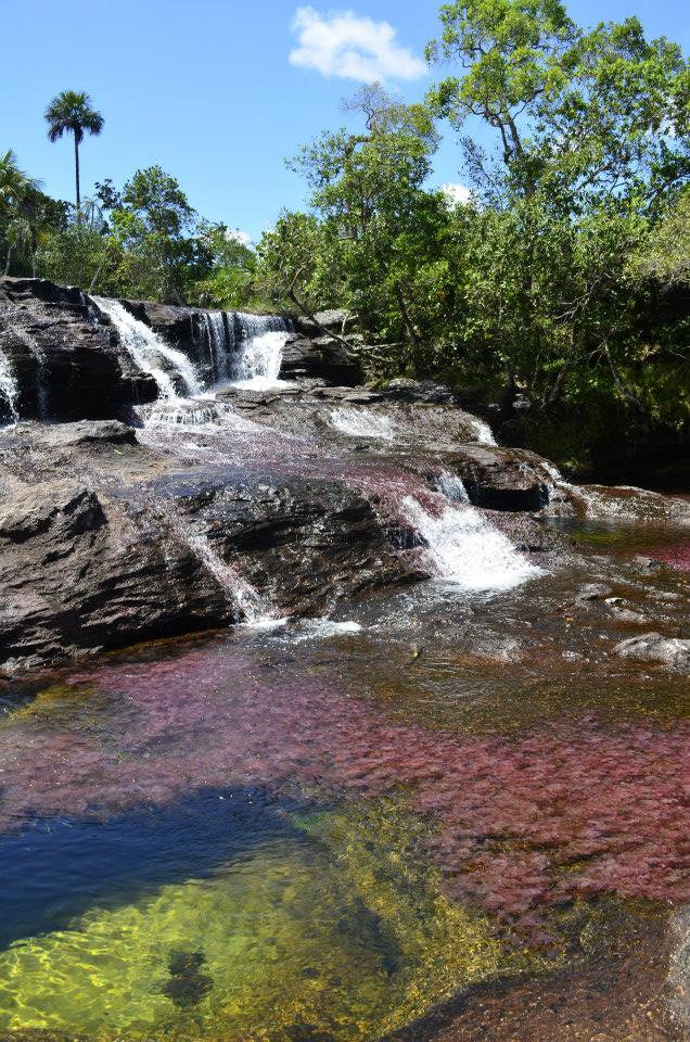 Caño Cristales_3.jpg